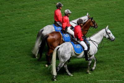 People riding horses on grassland