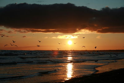 Scenic view of sea against sky during sunrise