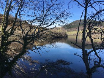 Scenic view of lake in forest against sky