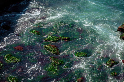 High angle view of sea shore. sea waves splashing