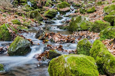 Scenic view of waterfall