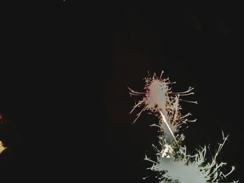 Close-up of firework display at night