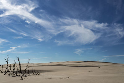 Scenic view of desert against sky