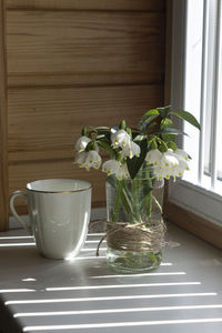 Close-up of potted plant on table