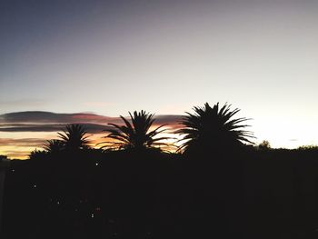 Silhouette trees against sky during sunset