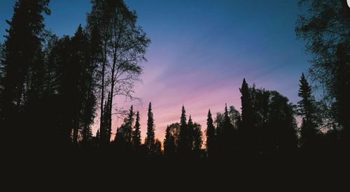 Scenic view of trees against sky at sunset