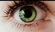 human eye, eyelash, eyesight, close-up, sensory perception, iris - eye, eyeball, looking at camera, extreme close-up, part of, portrait, human skin, vision, extreme close up, human face, eyebrow, unrecognizable person