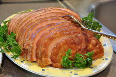 Close-up od sliced turkey with cilantro served in plate