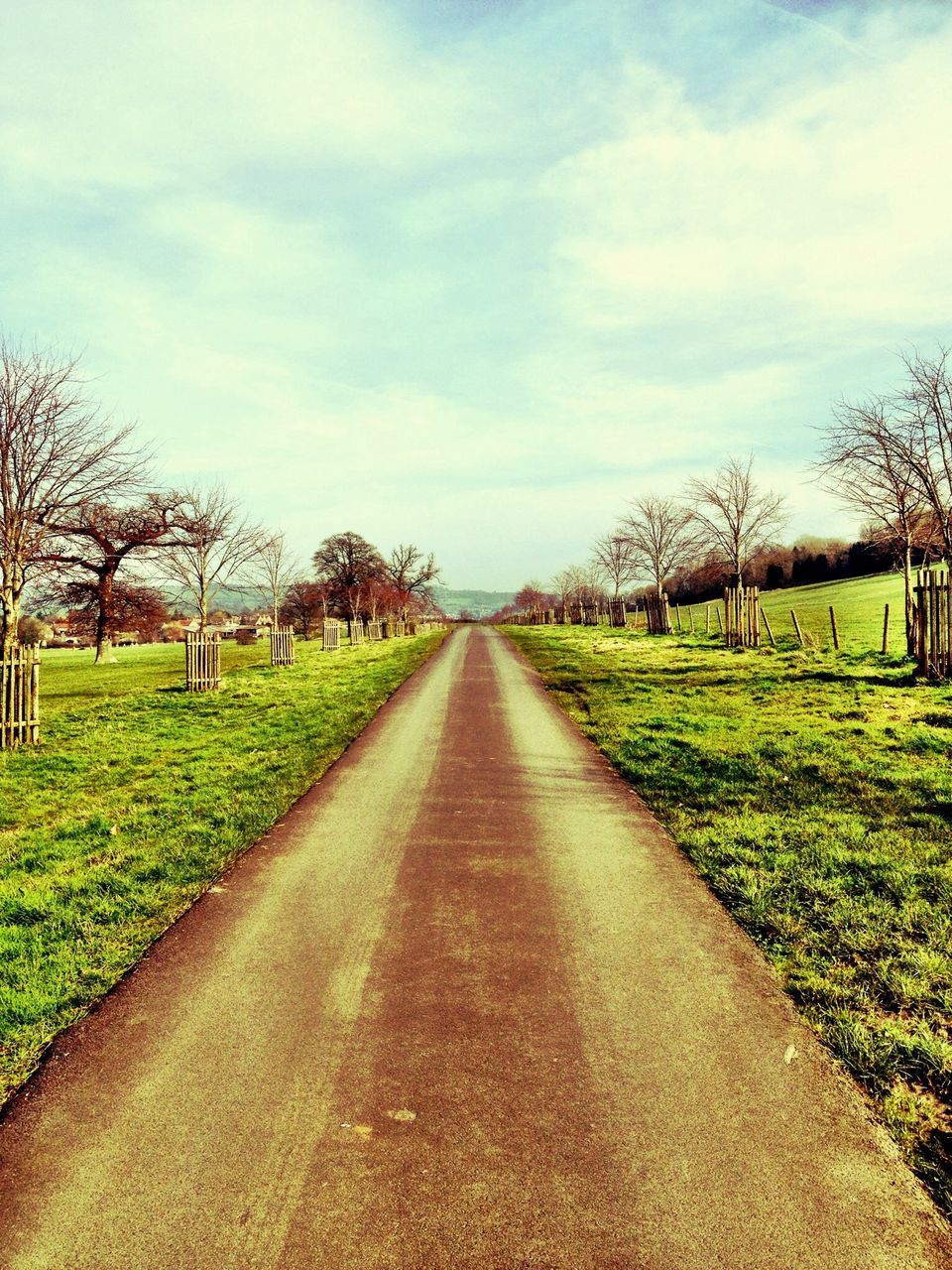 the way forward, diminishing perspective, tree, sky, grass, vanishing point, field, tranquility, tranquil scene, landscape, road, cloud - sky, transportation, bare tree, country road, nature, growth, rural scene, long, dirt road