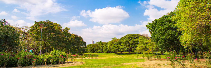 Panoramic shot of trees on field against sky