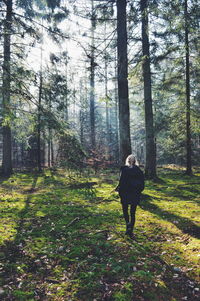 Rear view of man walking in forest