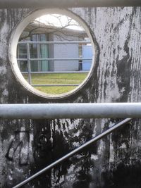 Reflection of trees on side-view mirror