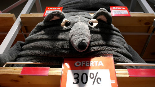 Close-up of cat with text