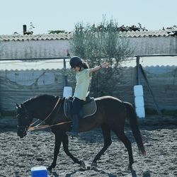 Woman riding horse on field against sky