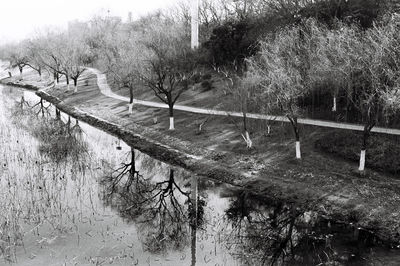 Trees by lake against sky