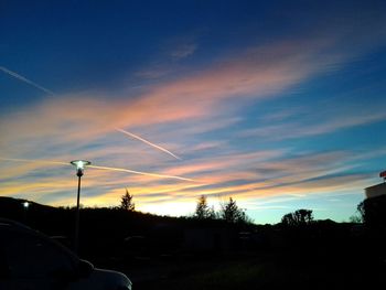 Silhouette of trees at sunset