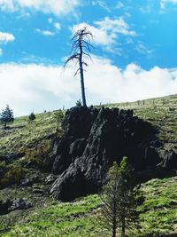 Low angle view of rocks on land against sky