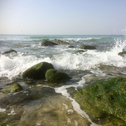 Scenic view of sea against clear sky