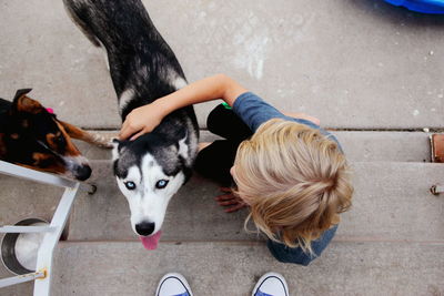 People by dogs on steps