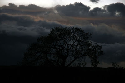 Silhouette of trees against cloudy sky