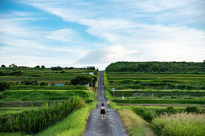 Rear view of girl standing on road along farm against sky