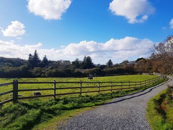 Scenic view of field against sky