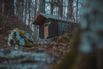 Abandoned building by trees