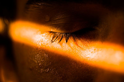 Close-up of orange eye