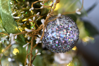 Close-up of christmas decorations hanging on tree