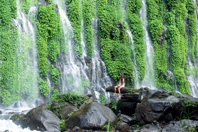 Scenic view of waterfall against trees