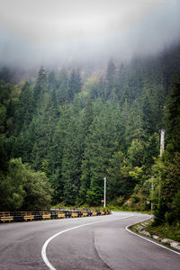 Road amidst trees in forest