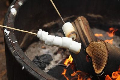 Roasting marshmallows on fire pit