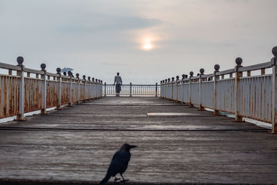 A sri lankan man standing on a pier in colombo looking out into the distance.