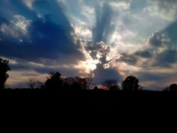 Silhouette trees against sky during sunset