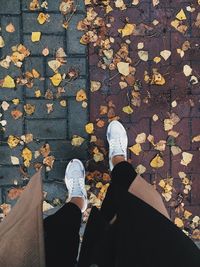 Low section of person standing on footpath amidst autumn leaves