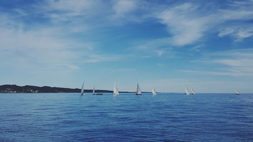 Sailboats sailing in sea against sky