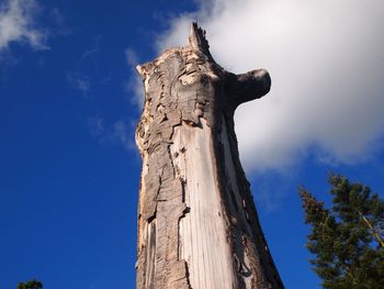 Low angle view of tree trunk against blue sky