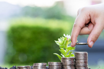 Cropped image of person holding plant outdoors