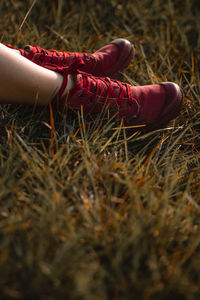 Low section of woman in shoes relaxing on grass