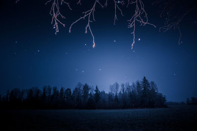 A beautiful, dark winter scenery while snowing. bright white snowflakes.