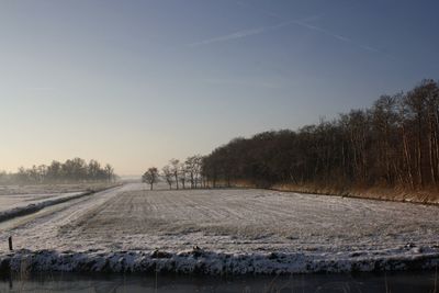 Trees on field against clear sky during winter