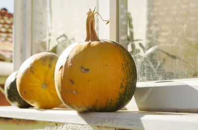 Close-up of  a pumpkin on table