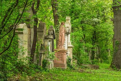 Female sculpture by tombstones in lush green st marx cemetery