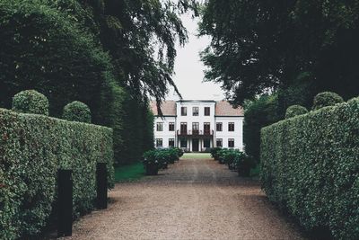 Footpath amidst trees and buildings in garden