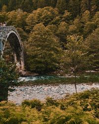 Arch bridge over river in forest