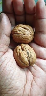 Close-up of hand holding bread