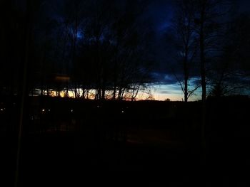 Silhouette of bare trees at night