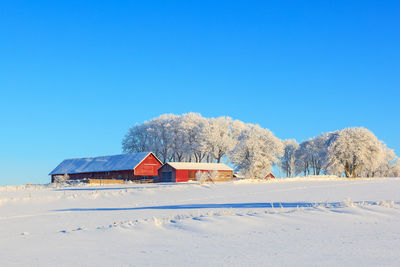 Red farmhouse on a hill in a beautiful winter landscape