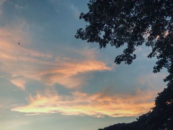 Low angle view of silhouette tree against sky at sunset