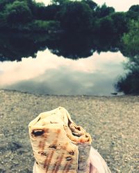 Close-up of hand by sea against sky